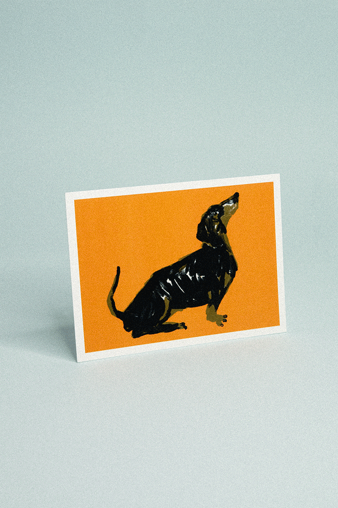 Carte chiens Yollema