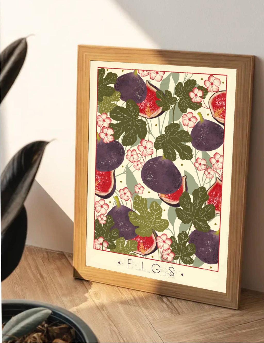 SUMMER COLLECTION : Figs