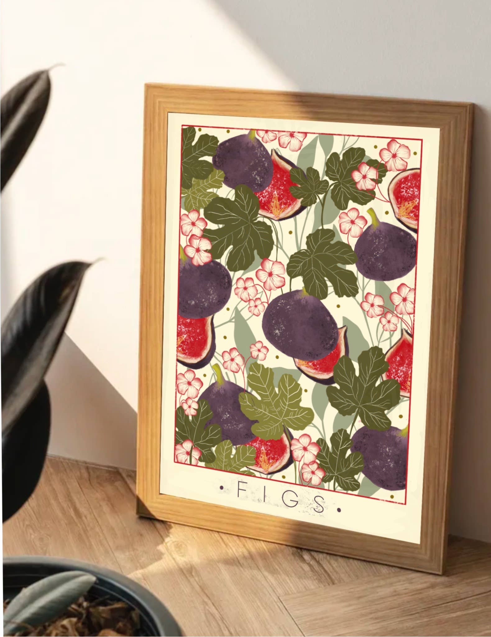 SUMMER COLLECTION : Figs