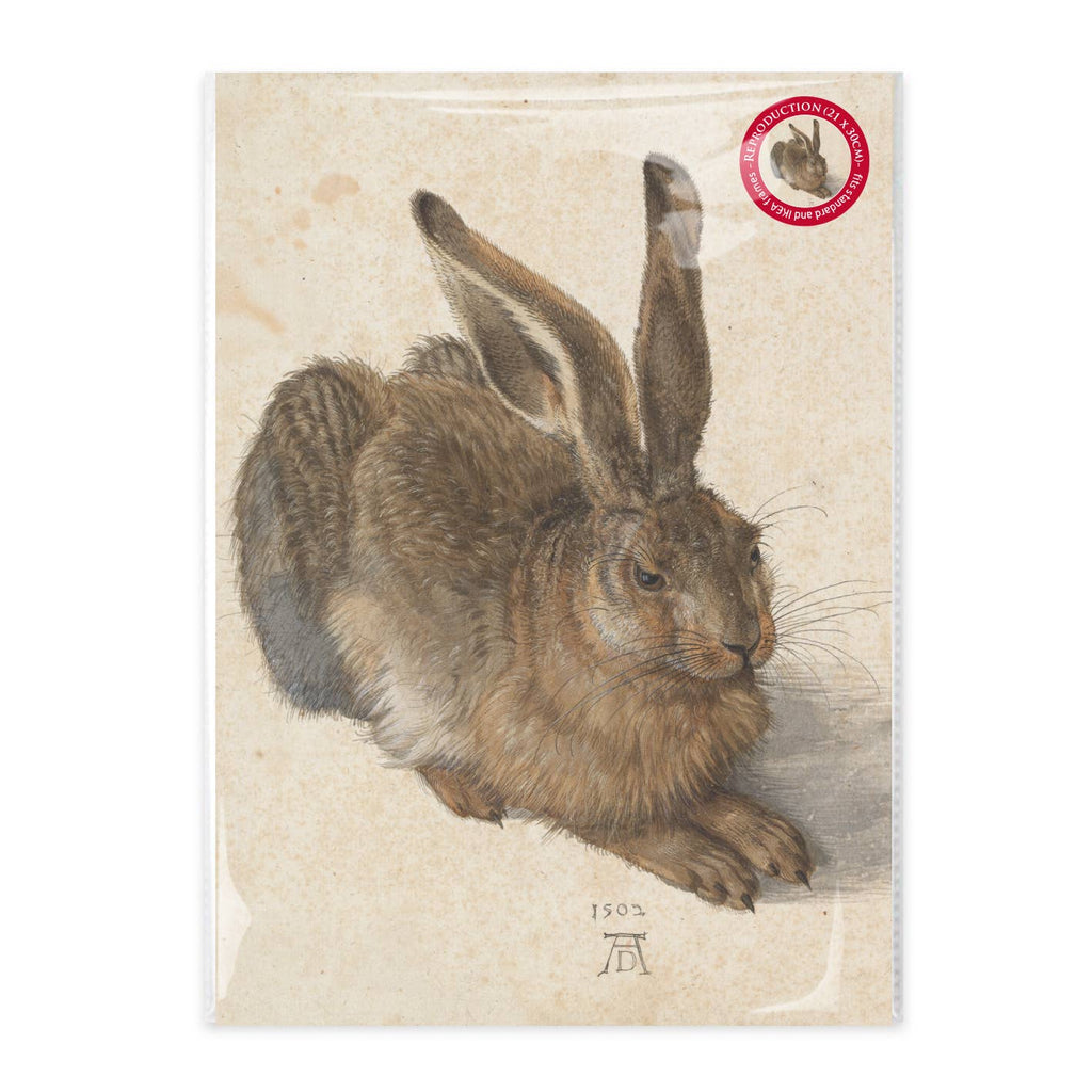 Affiche d'art A4 – Le jeune lièvre, Dürer