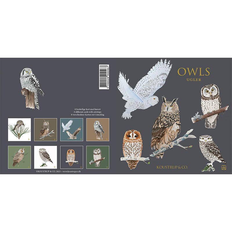 Cartes carrées avec motifs de chouettes