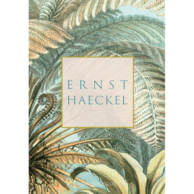 Ensemble de cartes Ernst Haeckel avec 8 cartes et enveloppes