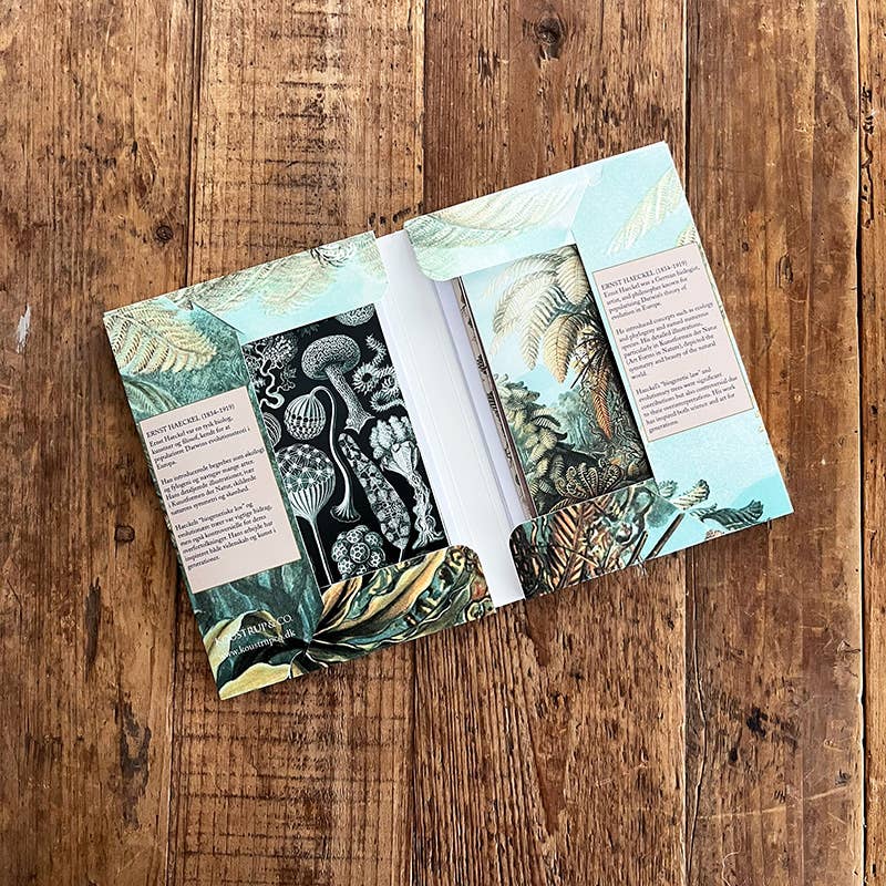 Ensemble de cartes Ernst Haeckel avec 8 cartes et enveloppes