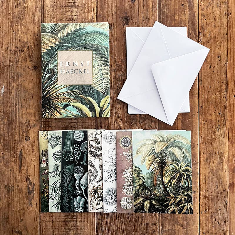 Ensemble de cartes Ernst Haeckel avec 8 cartes et enveloppes