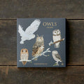 Cartes carrées avec motifs de chouettes
