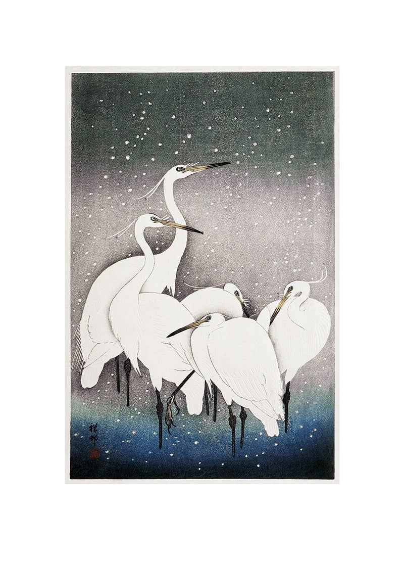 Ohara Koson - Groupe d'aigrettes - 50 x 70 cm