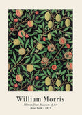 William Morris - Motifs de fruits - 50 x 70 cm