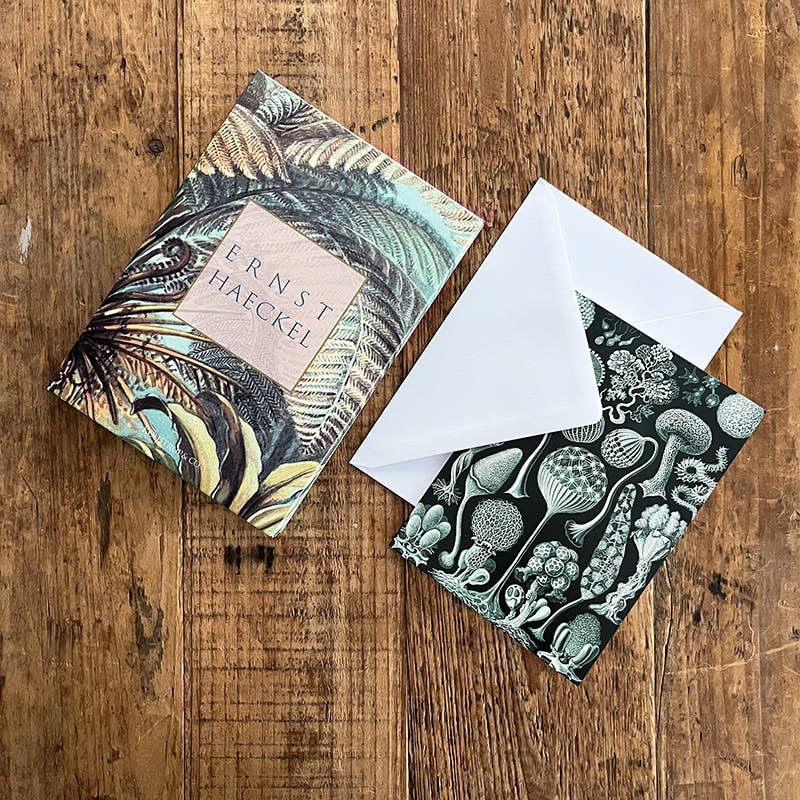 Ensemble de cartes Ernst Haeckel avec 8 cartes et enveloppes