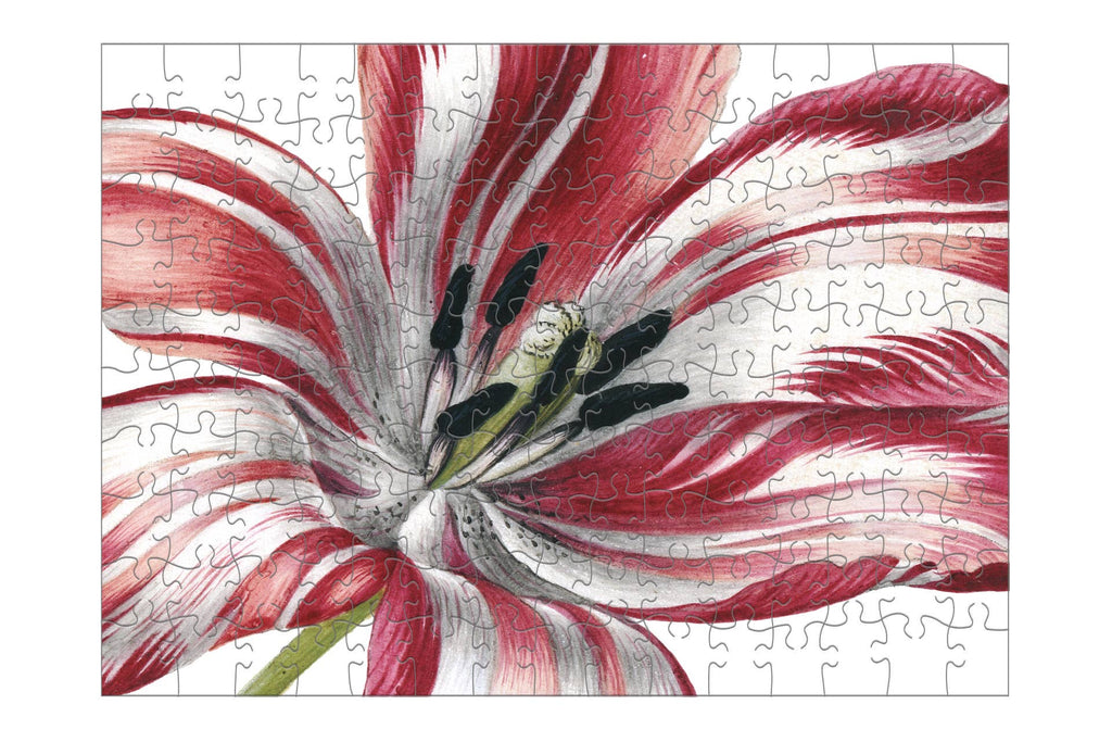 Micro puzzle, 150 pièces, Merian, 3 tulipes