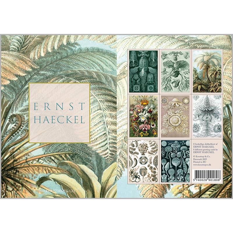 Ensemble de cartes Ernst Haeckel avec 8 cartes et enveloppes