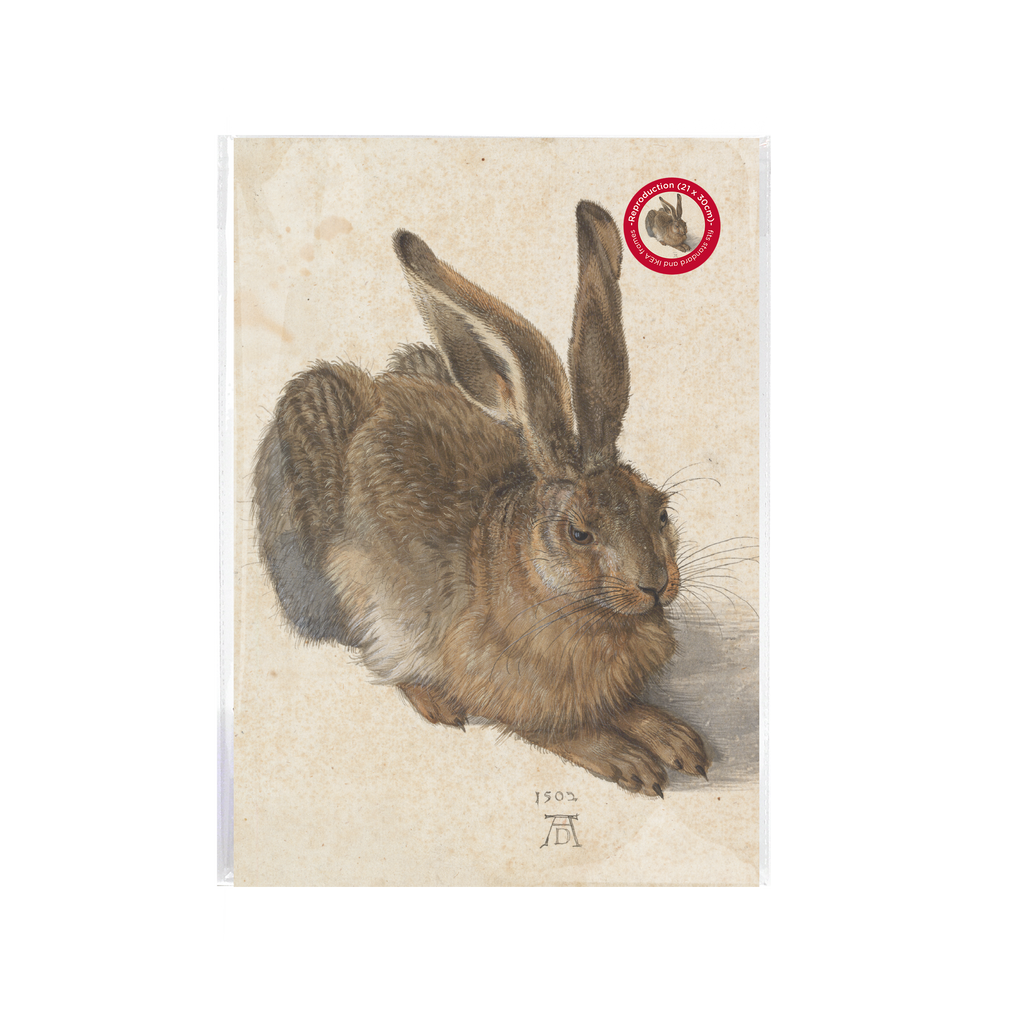 Affiche d'art A4 – Le jeune lièvre, Dürer
