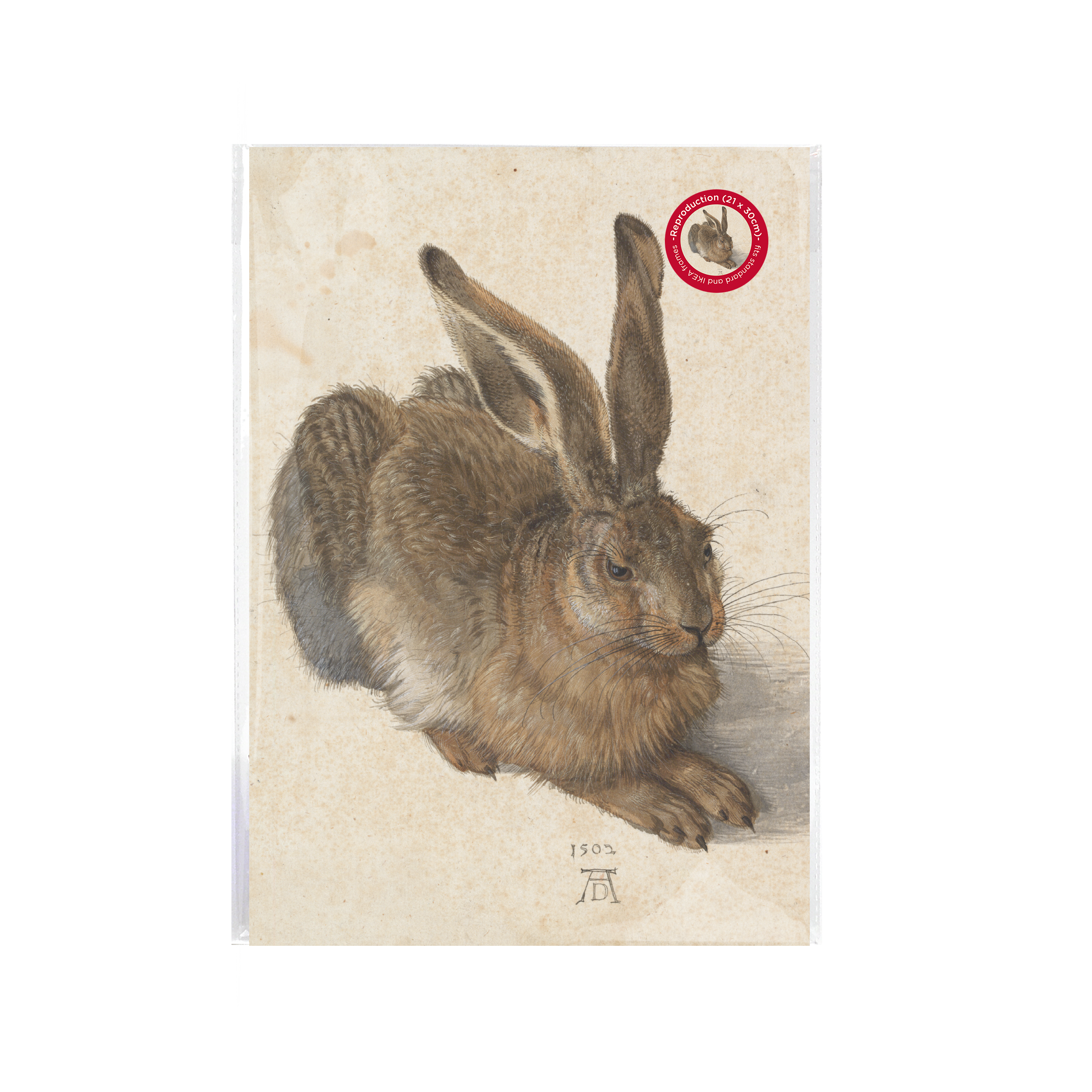 Affiche d'art A4 – Le jeune lièvre, Dürer