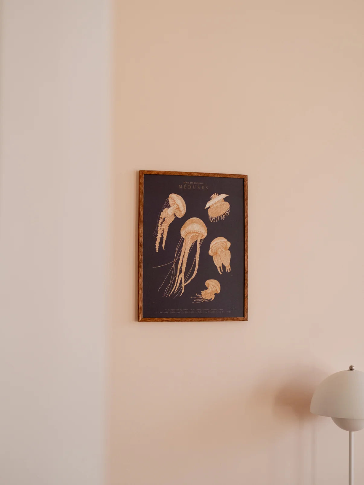 Les Méduses - Affiche 30x40cm