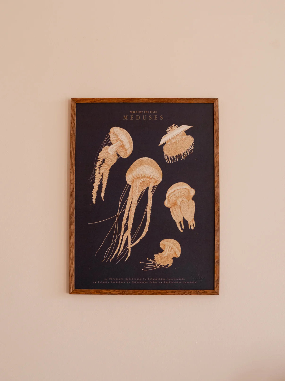Les Méduses - Affiche 30x40cm
