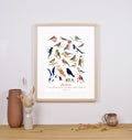 Afffiche A3 - Oiseaux