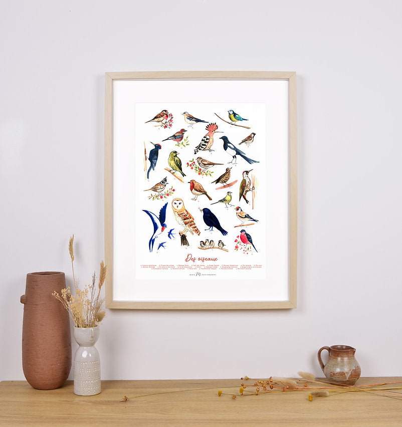 Afffiche A3 - Oiseaux