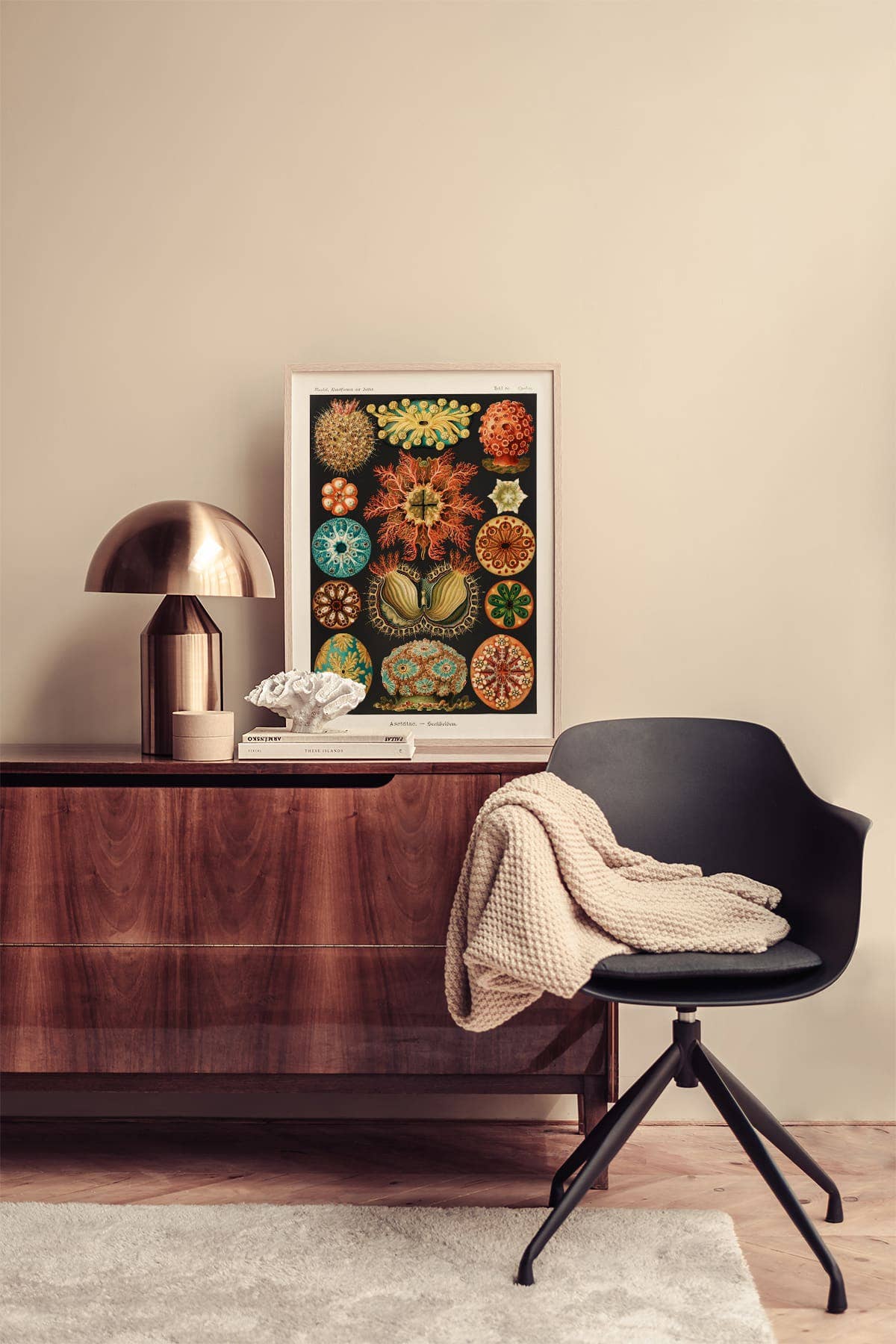 Ernst Haeckel - Ascidiae colorées - 50 x 70 cm