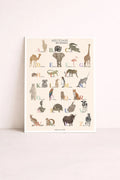 Abécédaire des animaux — Affiche 30x40 cm