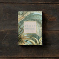 Ensemble de cartes Ernst Haeckel avec 8 cartes et enveloppes