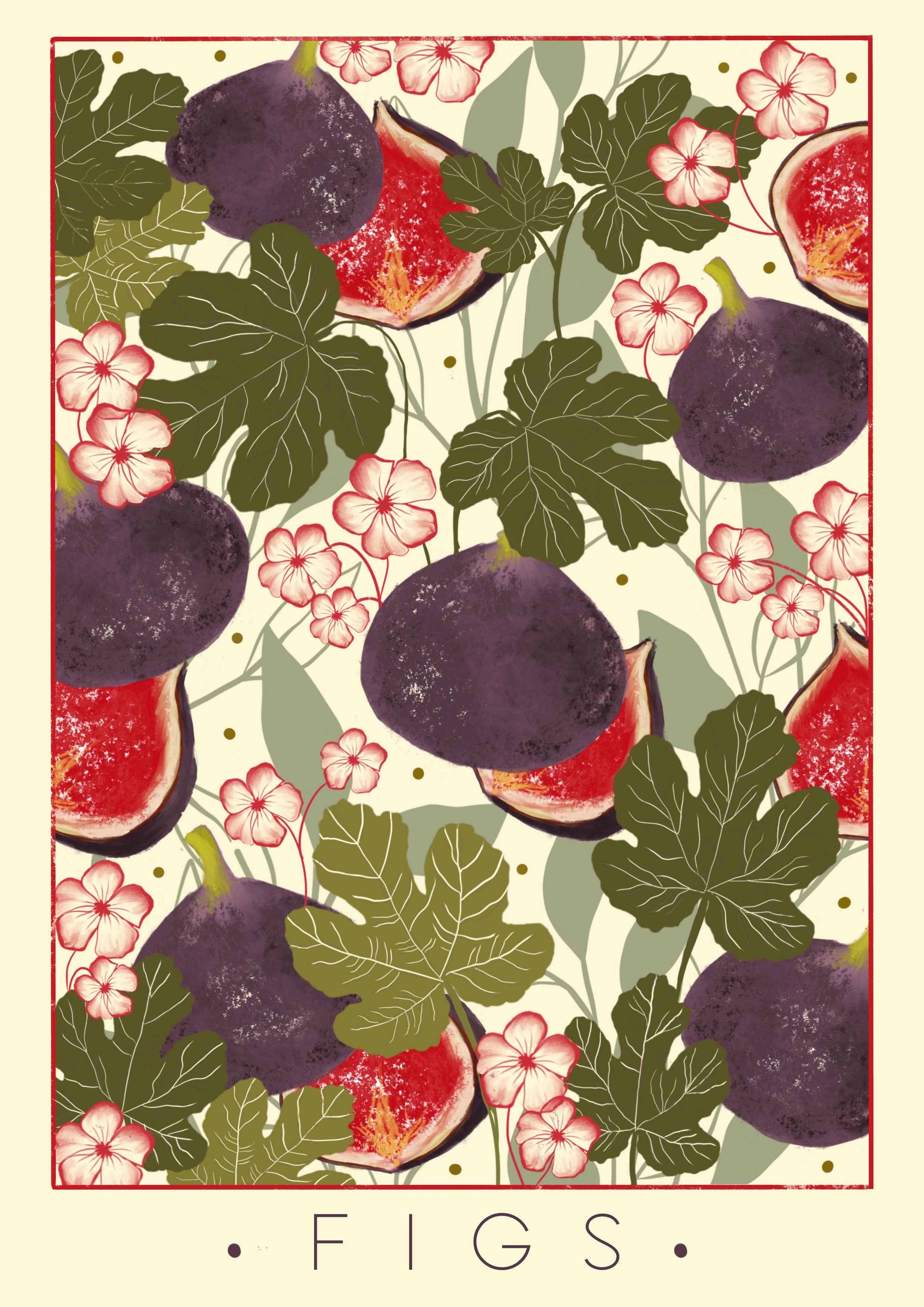 SUMMER COLLECTION : Figs