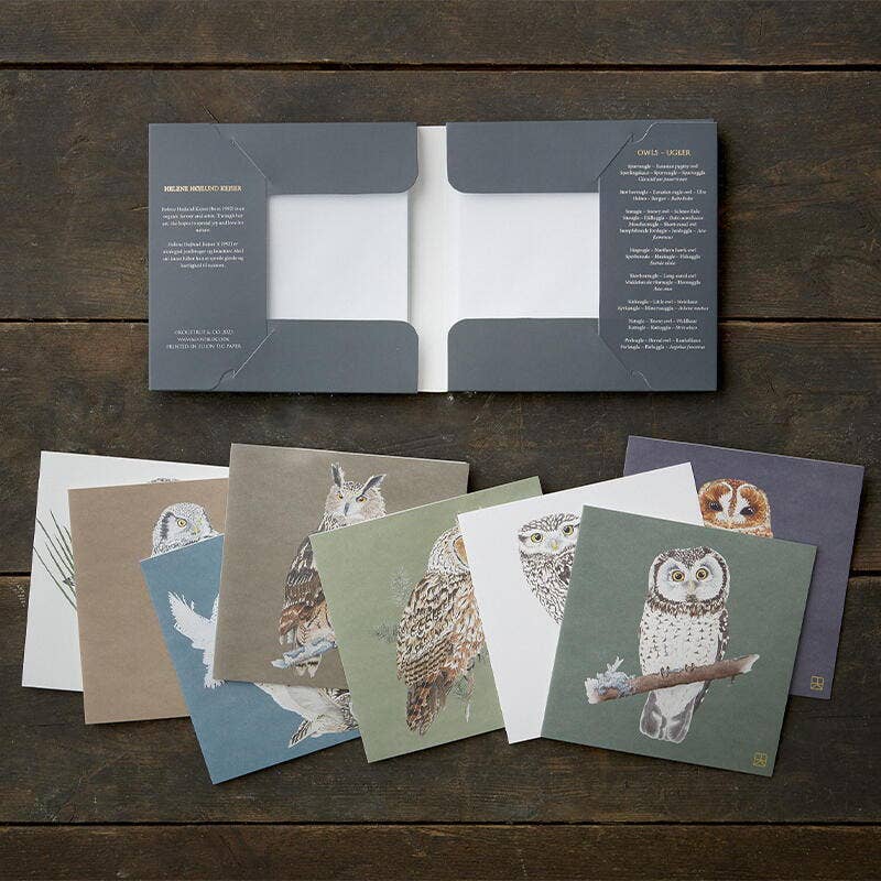 Cartes carrées avec motifs de chouettes