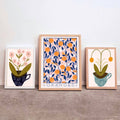 SUMMER COLLECTION : Oranges