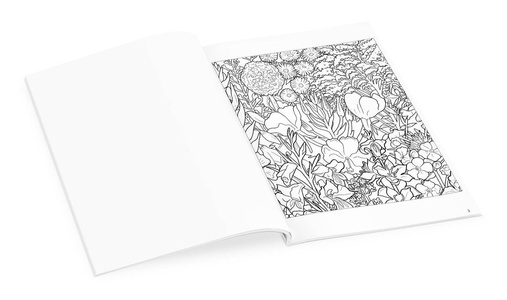 Rosalind Wise : Livre de coloriage Cycle des fleurs