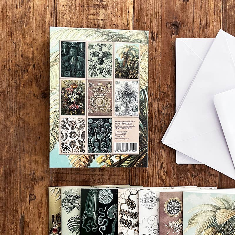 Ensemble de cartes Ernst Haeckel avec 8 cartes et enveloppes