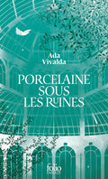 Porcelaine sous les ruines