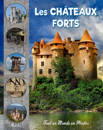 Les châteaux forts