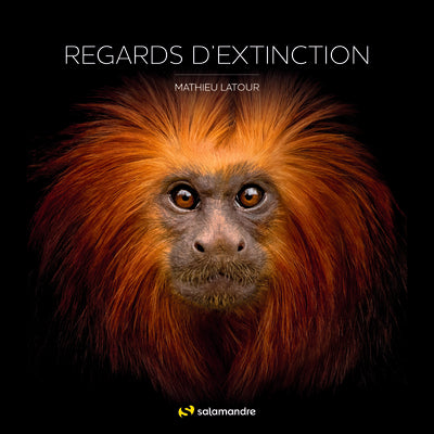 Regards d'extinction