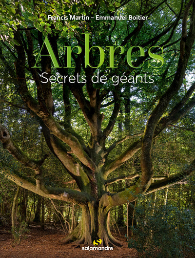 Arbres, secrets de géants