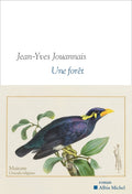 Une forêt