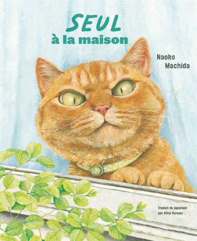 Seul à la maison